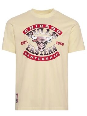 Chicago Bulls NBA Pro Standard Eggshell TShirt